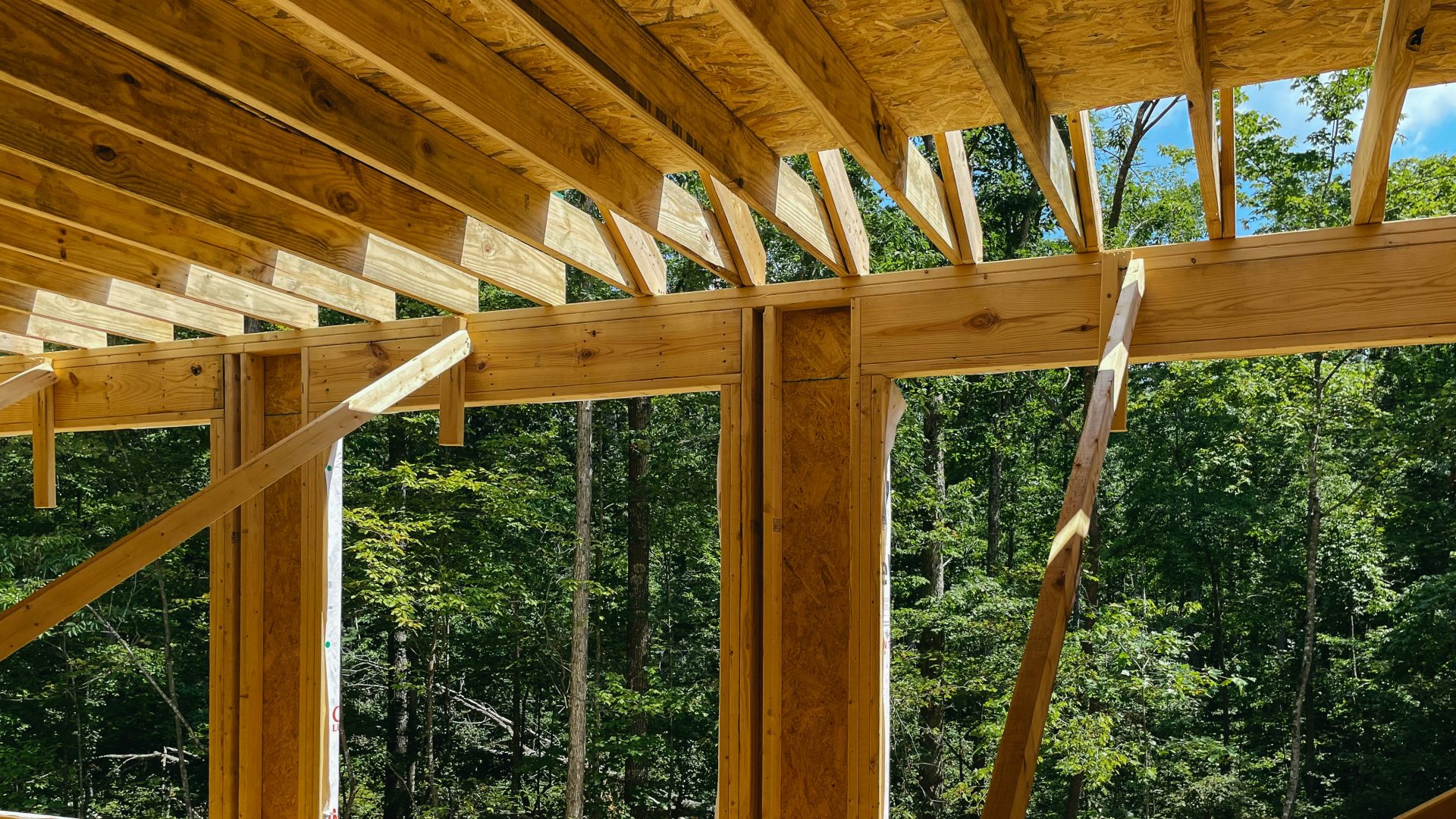 a view of a wooden roof in the woods